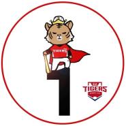 Soul Tigers 팀 로고